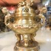 Đỉnh Sòi 45cm