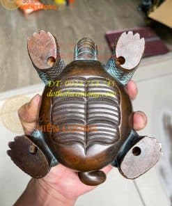 Xông trầm rùa đầu rồng