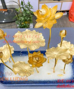 Hồ hoa sen bằng vàng lá