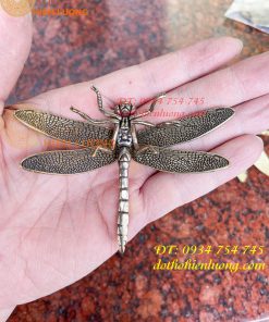 Chuồn chuồn bằng đồng phong thủy