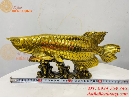 Tượng Cá Kim Long Bằng Đồng Dài 37cm Phong Thủy