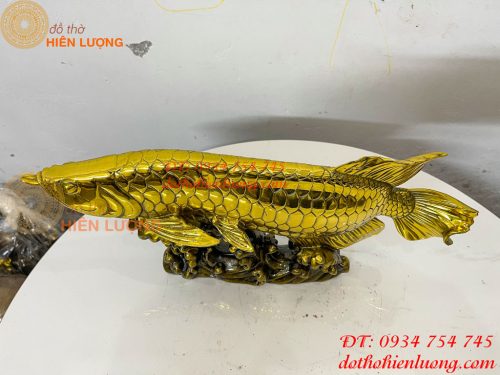 Tượng Cá Kim Long Bằng Đồng Dài 37cm Phong Thủy