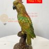Tượng Con Chim Vẹt Bằng Đồng Cao 30cm Vẽ Màu
