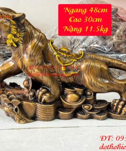 Tượng Hổ Gầm Đứng Bệ Tiền Tài Lộc Bằng Đồng Dài 48cm