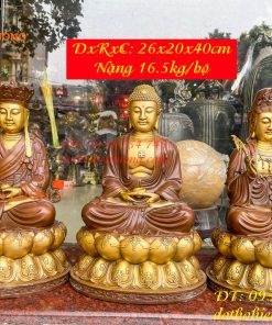Bộ Tượng Phật Ta Bà Tam Thánh Bằng Đồng Áo Nâu Cao 40cm