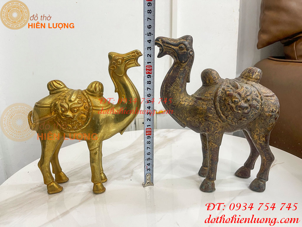 Tượng lạc đà bằng đồng cao 23cm và 25cm