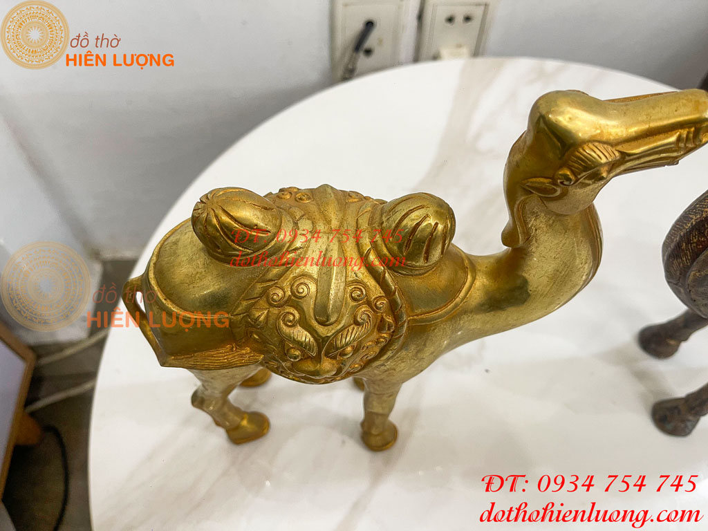 Tượng lạc đà bằng đồng cao 23cm và 25cm