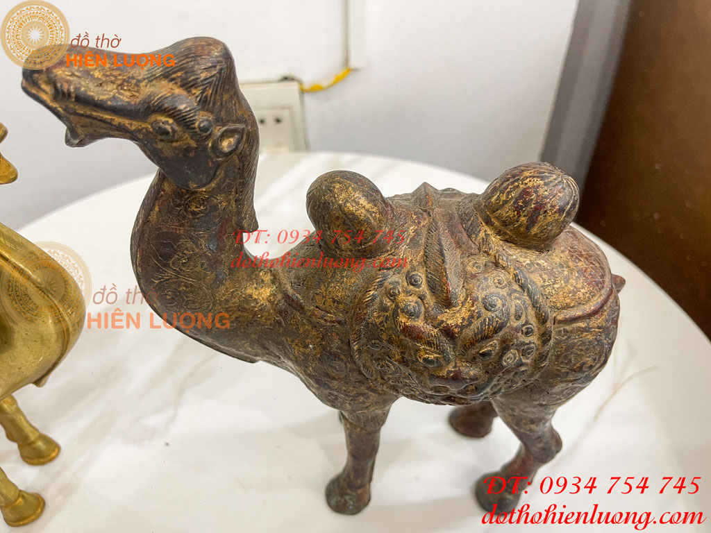 Tượng lạc đà bằng đồng cao 23cm và 25cm