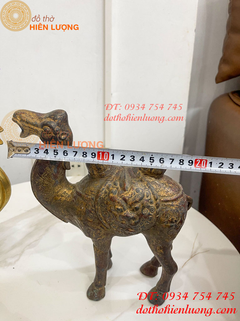 Tượng lạc đà bằng đồng cao 23cm và 25cm