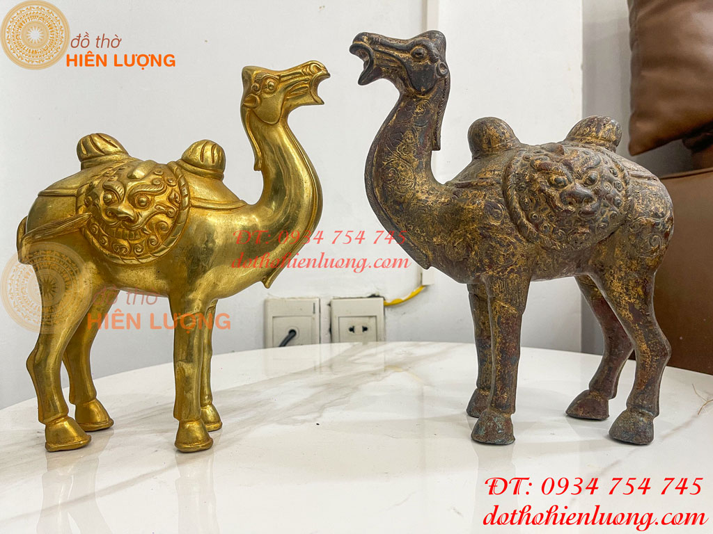 Tượng lạc đà bằng đồng cao 23cm và 25cm