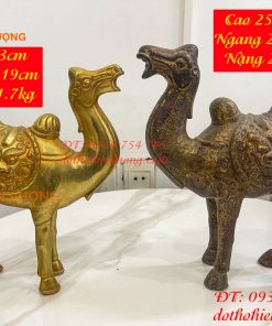 Tượng lạc đà bằng đồng cao 23cm và 25cm