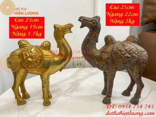 Tượng lạc đà bằng đồng cao 23cm và 25cm