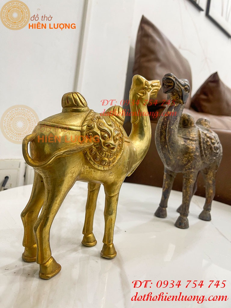 Tượng lạc đà bằng đồng cao 23cm và 25cm