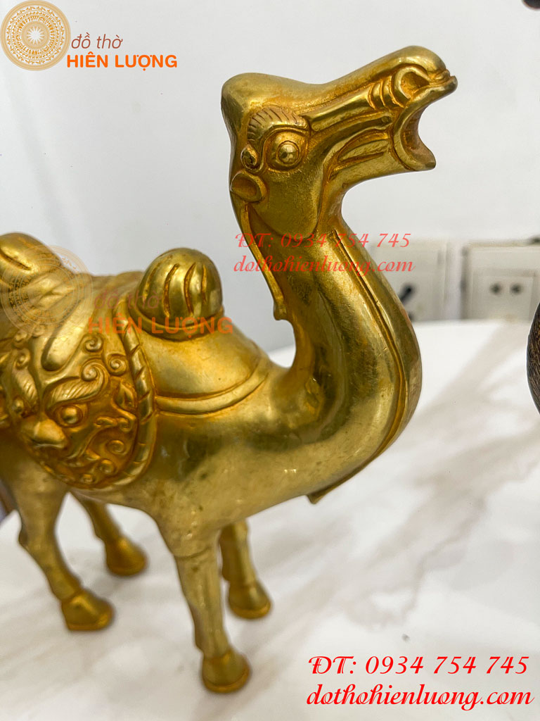 Tượng lạc đà bằng đồng cao 23cm và 25cm