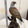 Tượng Chim Đại Bàng Gốc Cây Bằng Đồng Phong Thủy