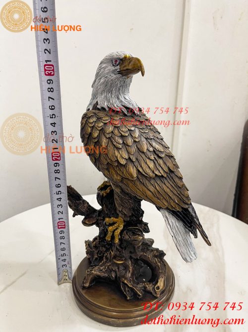 Tượng Chim Đại Bàng Gốc Cây Bằng Đồng Phong Thủy
