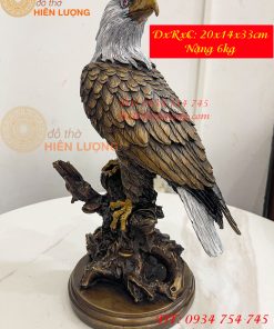 Tượng Chim Đại Bàng Gốc Cây Bằng Đồng Phong Thủy