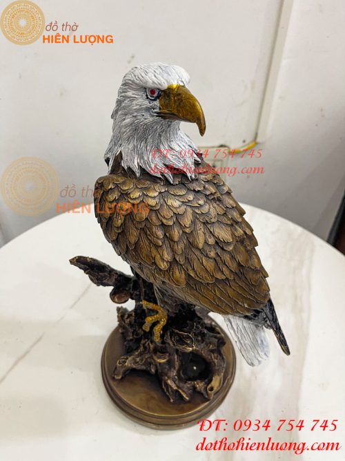 Tượng Chim Đại Bàng Gốc Cây Bằng Đồng Phong Thủy
