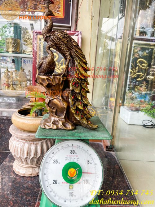 Tượng Đôi Chim Công Đuôi Dài Bằng Đồng Phong Thủy