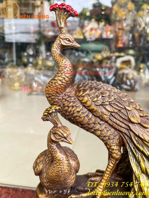 Tượng Đôi Chim Công Đuôi Dài Bằng Đồng Phong Thủy