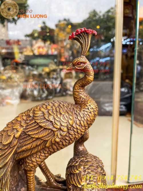 Tượng Đôi Chim Công Đuôi Dài Bằng Đồng Phong Thủy