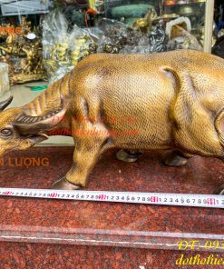 Tượng Trâu Vàng Việt Nam Bằng Đồng Cỡ Đại Dài 60cm