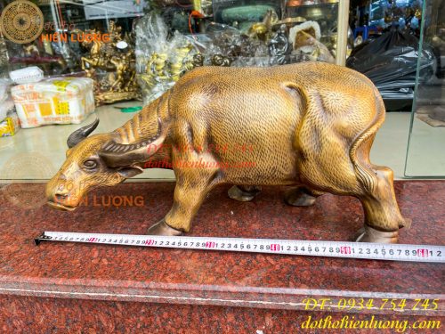 Tượng Trâu Vàng Việt Nam Bằng Đồng Cỡ Đại Dài 60cm