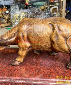 Tượng Trâu Vàng Việt Nam Bằng Đồng Cỡ Đại Dài 60cm