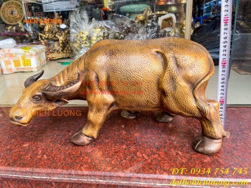 Tượng Trâu Vàng Việt Nam Bằng Đồng Cỡ Đại Dài 60cm