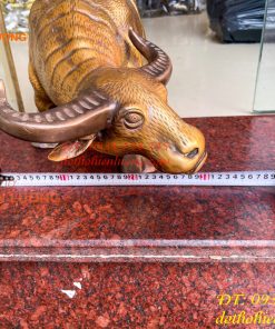 Tượng Trâu Vàng Việt Nam Bằng Đồng Cỡ Đại Dài 60cm