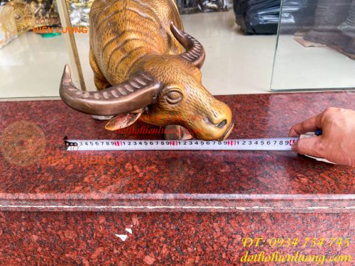 Tượng Trâu Vàng Việt Nam Bằng Đồng Cỡ Đại Dài 60cm