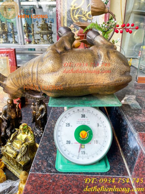 Tượng Trâu Vàng Việt Nam Bằng Đồng Cỡ Đại Dài 60cm