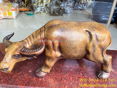 Tượng Trâu Vàng Việt Nam Bằng Đồng Cỡ Đại Dài 60cm