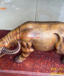 Tượng Trâu Vàng Việt Nam Bằng Đồng Cỡ Đại Dài 60cm