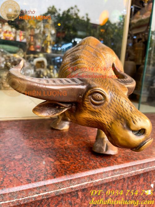 Tượng Trâu Vàng Việt Nam Bằng Đồng Cỡ Đại Dài 60cm