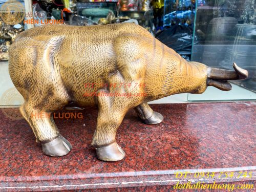 Tượng Trâu Vàng Việt Nam Bằng Đồng Cỡ Đại Dài 60cm