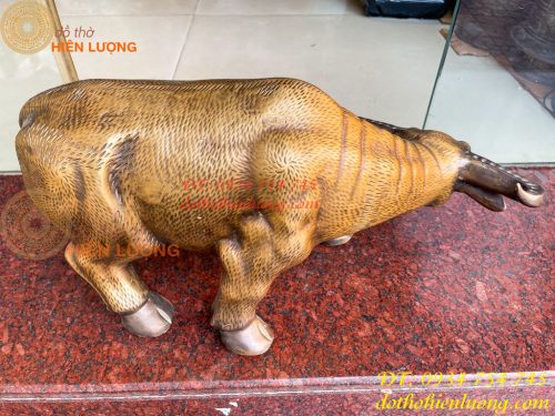 Tượng Trâu Vàng Việt Nam Bằng Đồng Cỡ Đại Dài 60cm