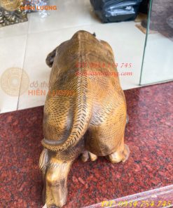 Tượng Trâu Vàng Việt Nam Bằng Đồng Cỡ Đại Dài 60cm