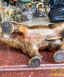 Tượng Trâu Vàng Việt Nam Bằng Đồng Cỡ Đại Dài 60cm