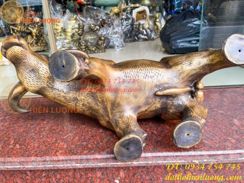Tượng Trâu Vàng Việt Nam Bằng Đồng Cỡ Đại Dài 60cm