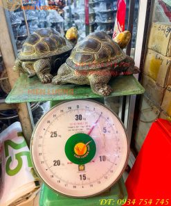 Đôi Tượng Rùa Bằng Đồng Xanh Giả Cổ