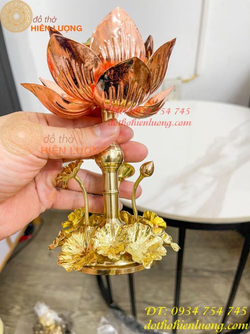 Đèn Hoa Sen Bằng Đồng Trang Trí Decor