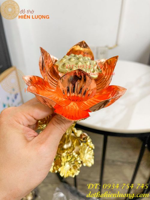 Đèn Hoa Sen Bằng Đồng Trang Trí Decor