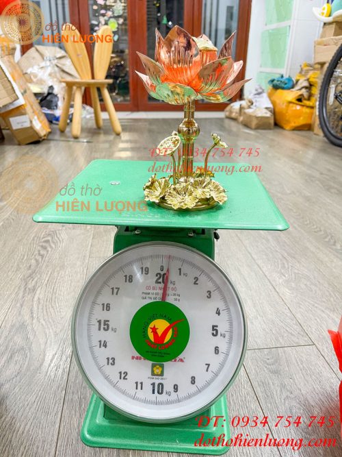 Đèn Hoa Sen Bằng Đồng Trang Trí Decor